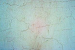 In old masonry or in new plasters, before painting, we observe capillary cracks and small cracks.